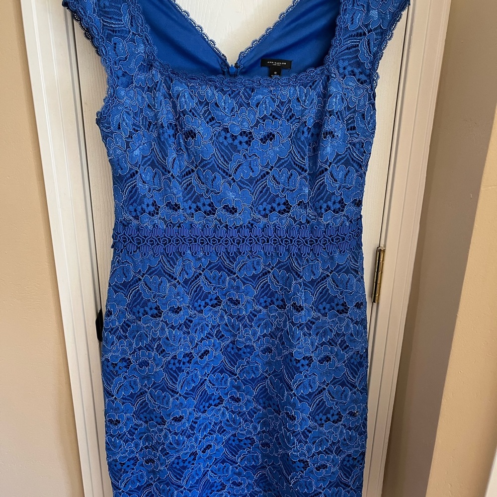 Ann Taylor royal blue lace cocktail dress size 8